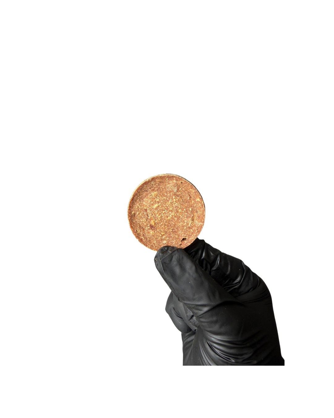 Untitled design - 52.png