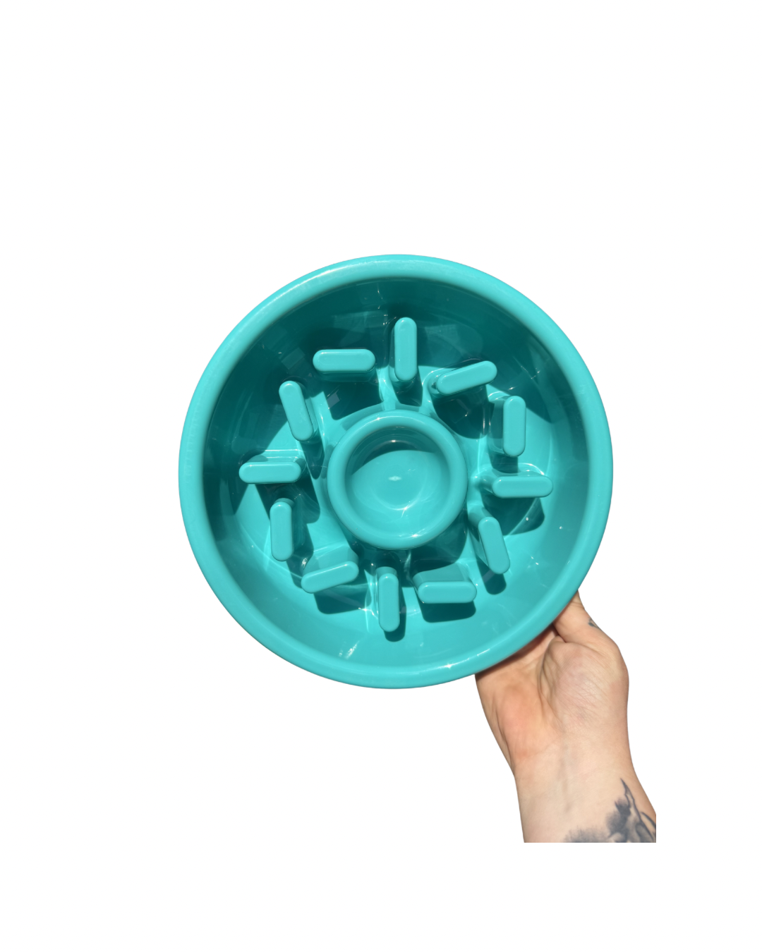 Untitled design - 49.png