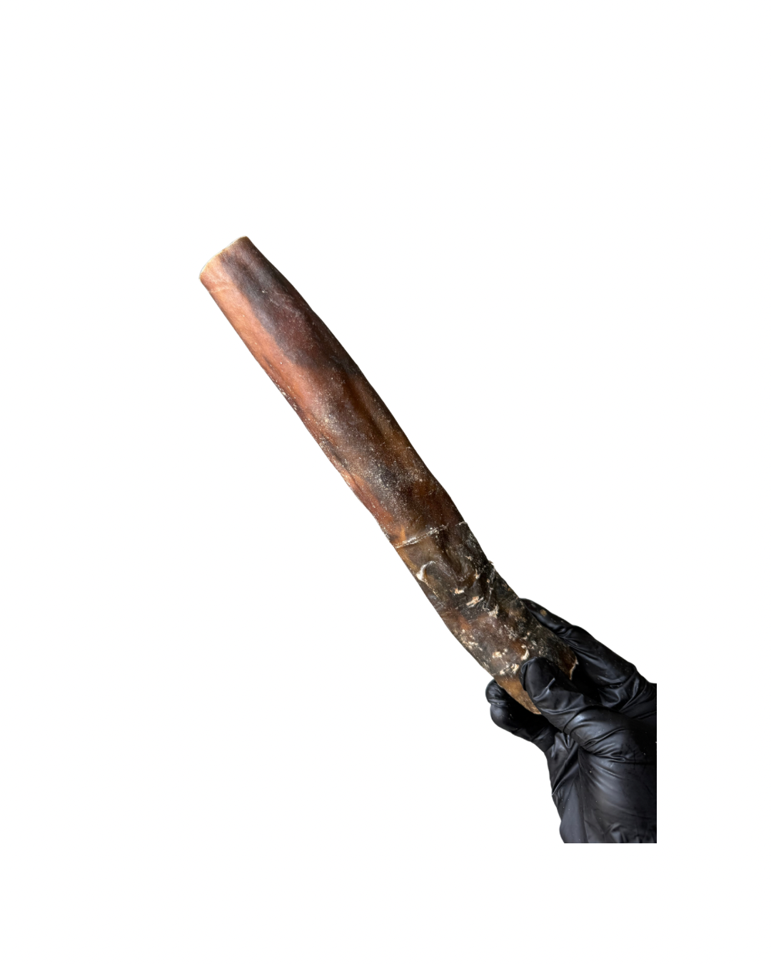 Untitled design - 8.png