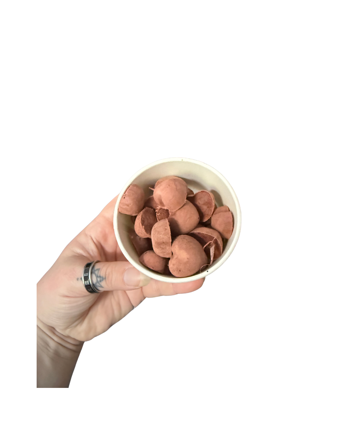 All website photos - 12.png