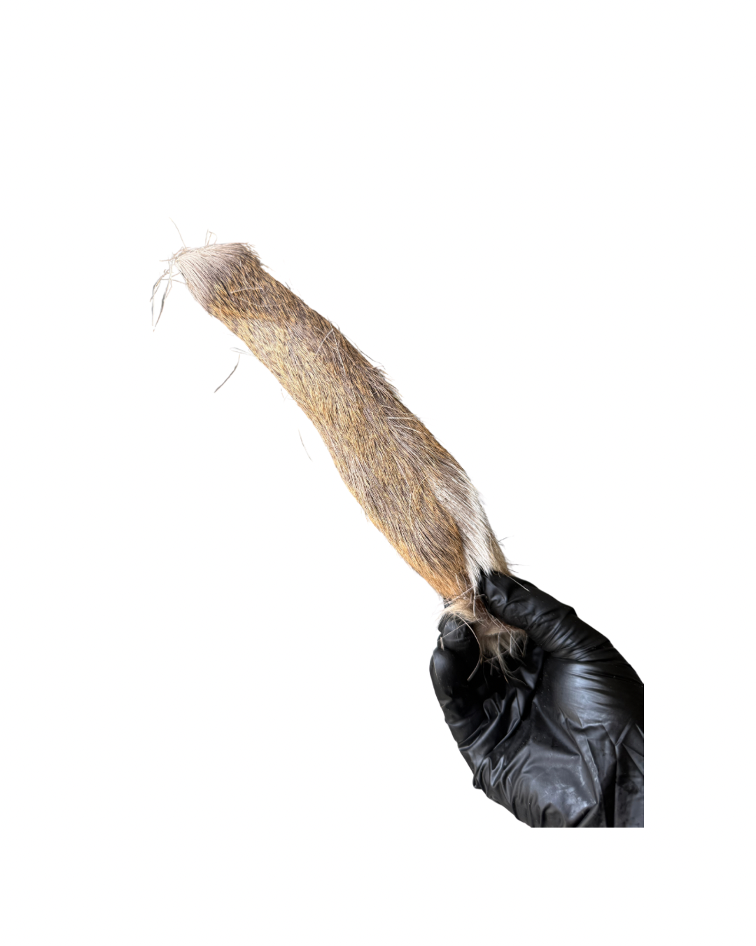 Hairy Venison Skin