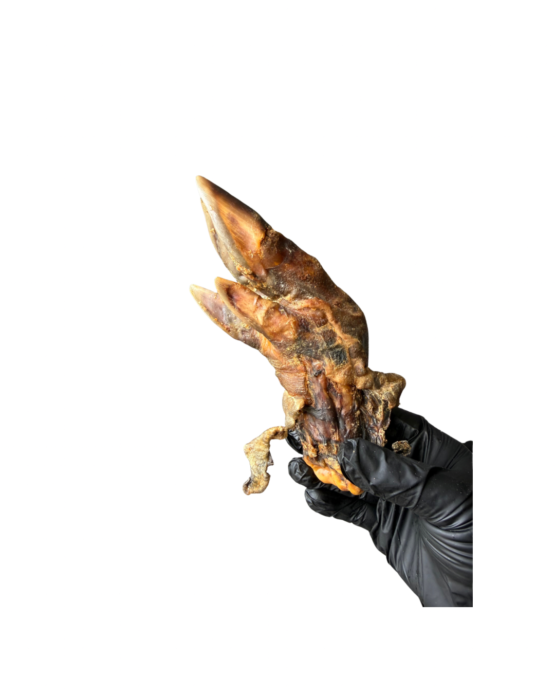 Untitled design - 39.png