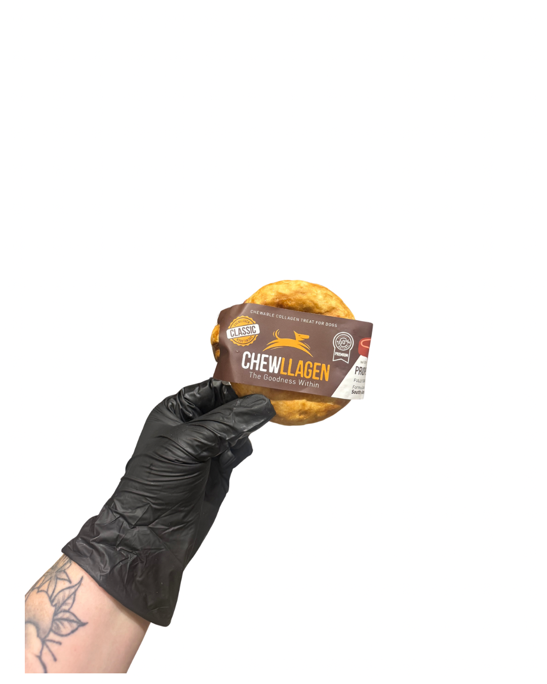 Untitled design - 51.png