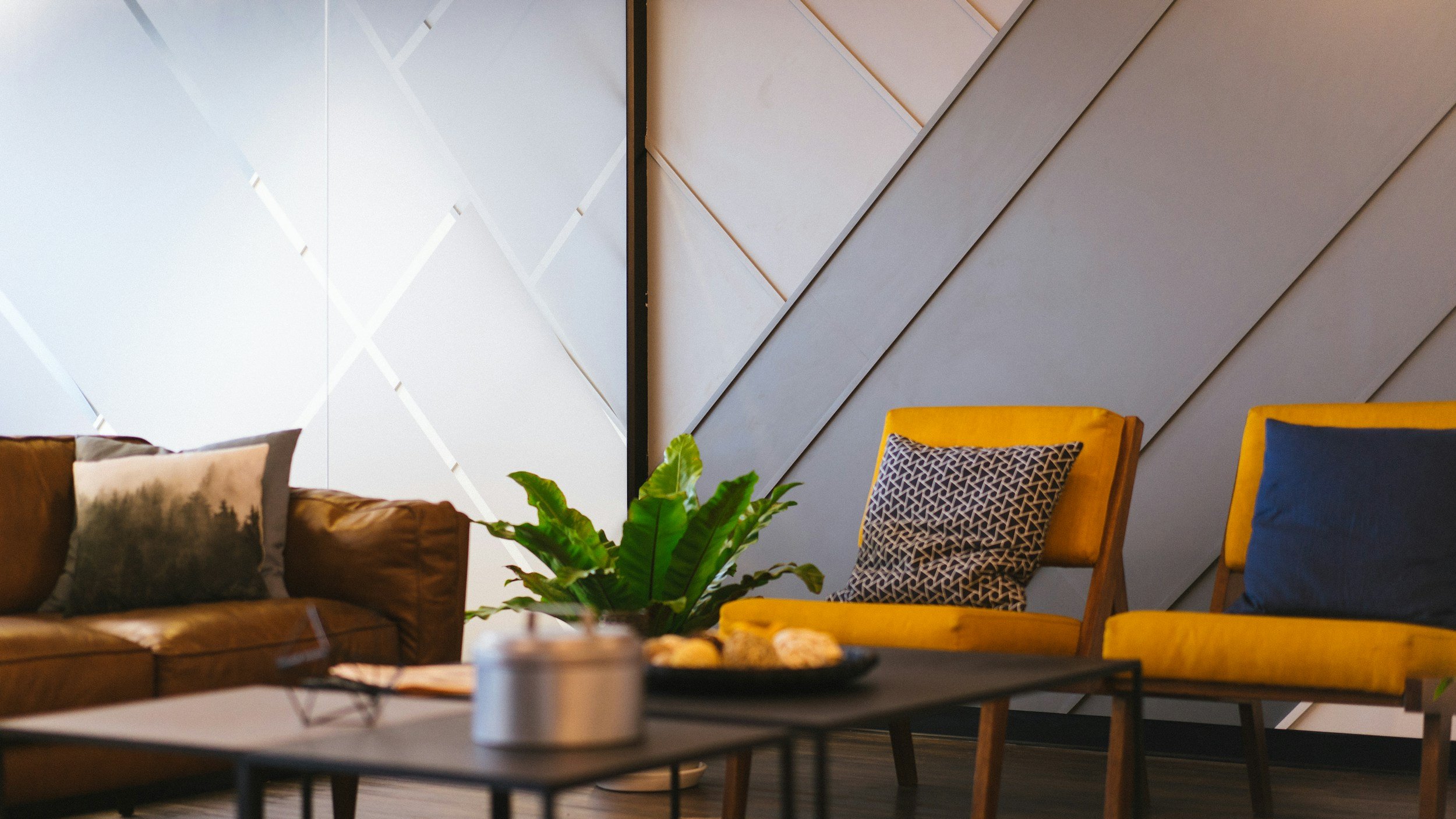 therapy office with chairs and a couch with a plant on a table in the middle of the room.