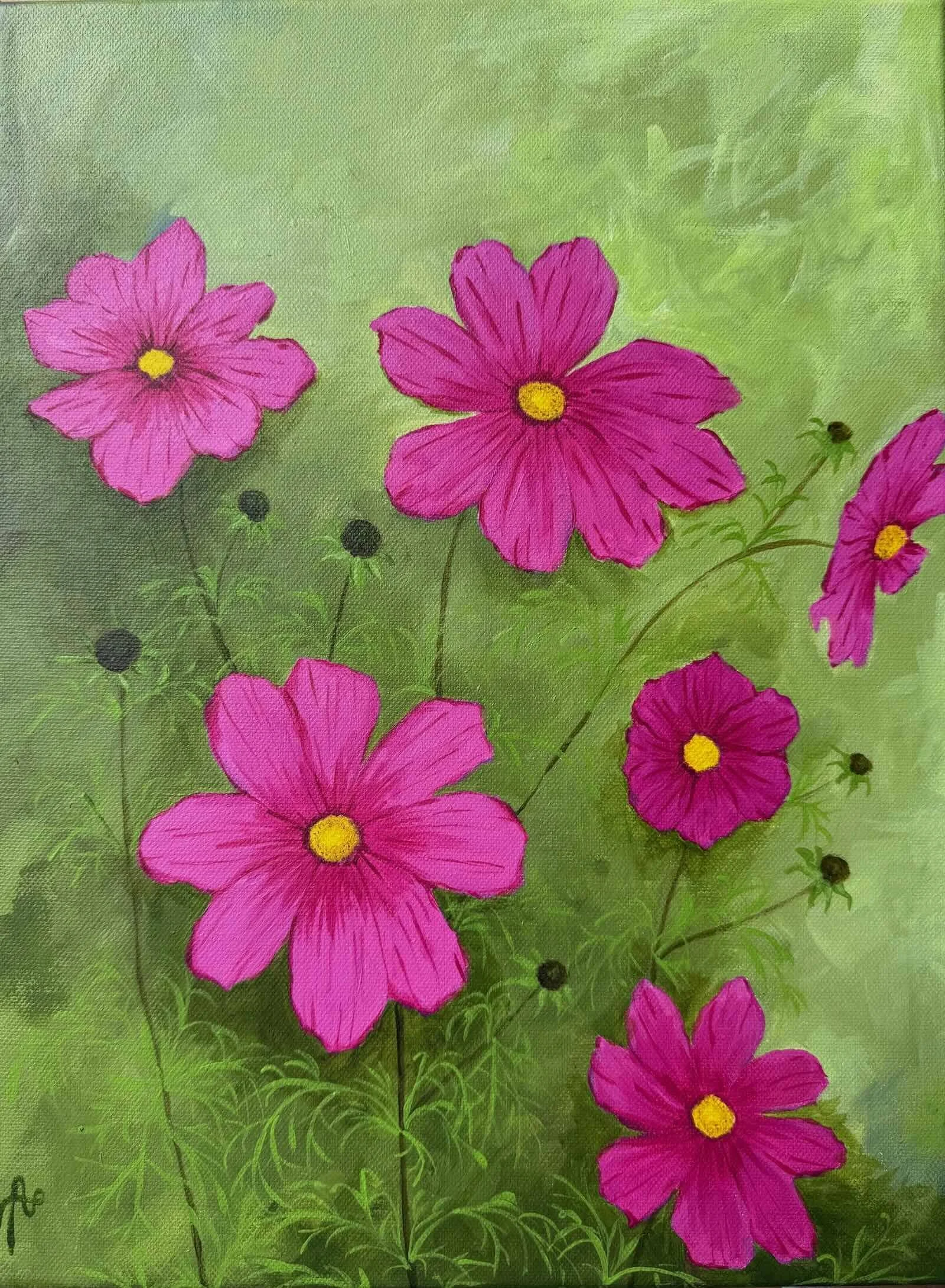 Cosmea Linda - 40 cm x 30 cm - verkauft