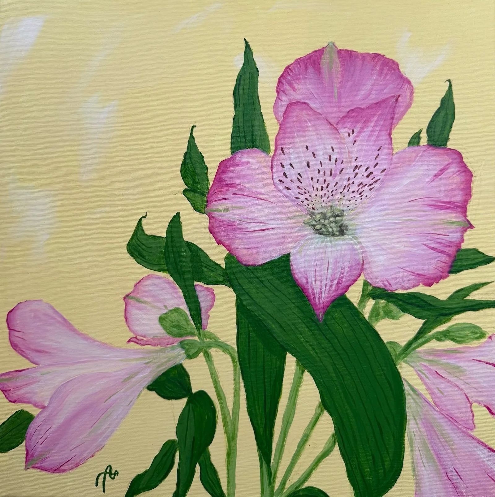 Inkalilie - 30 cm x 30 cm