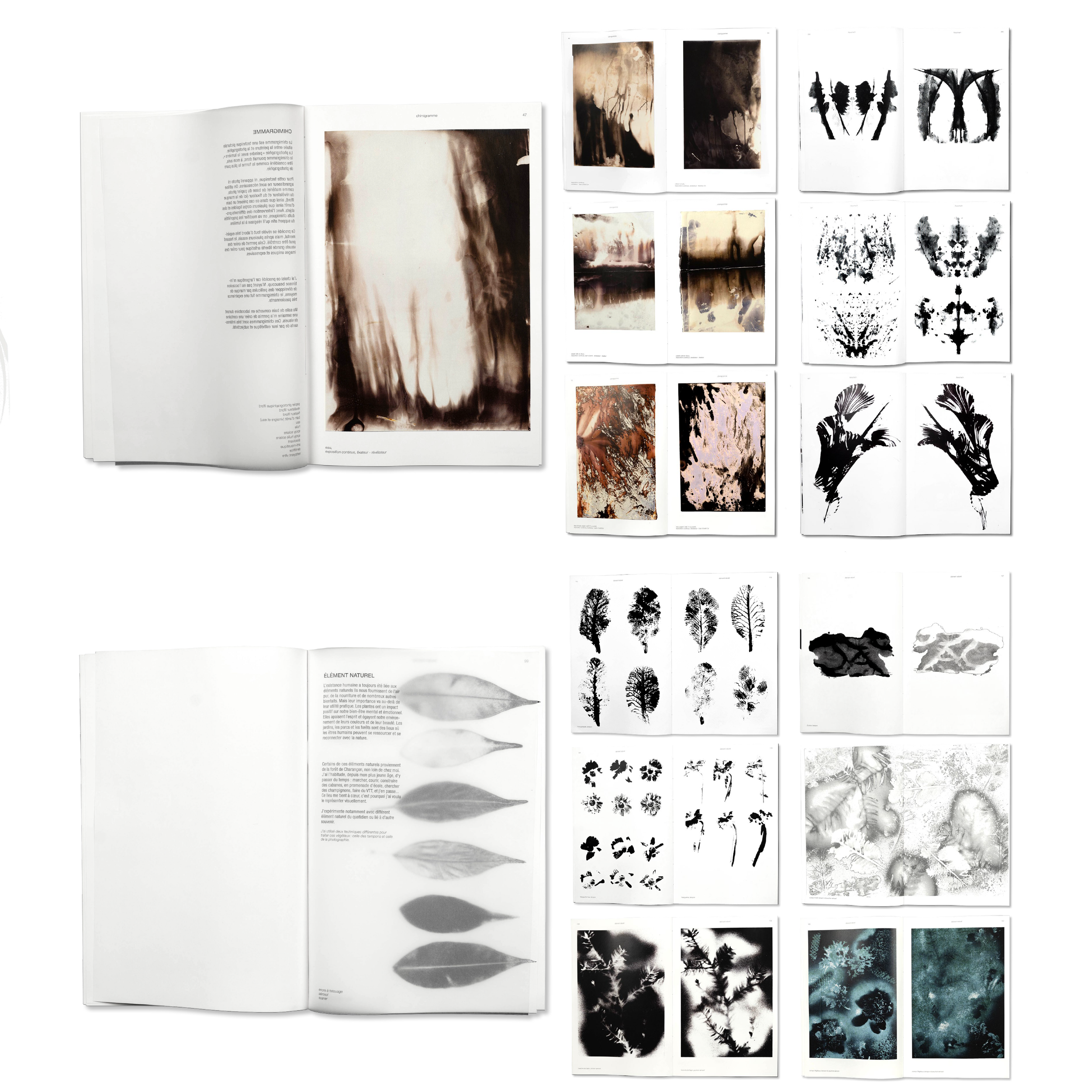 Livres ouverts montrant des pages avec des impressions artistiques de formes naturelles, de feuilles, de textures et de motifs abstraits en noir et blanc, avec certaines pages contenant des images de plantes et de feuilles stylisées.