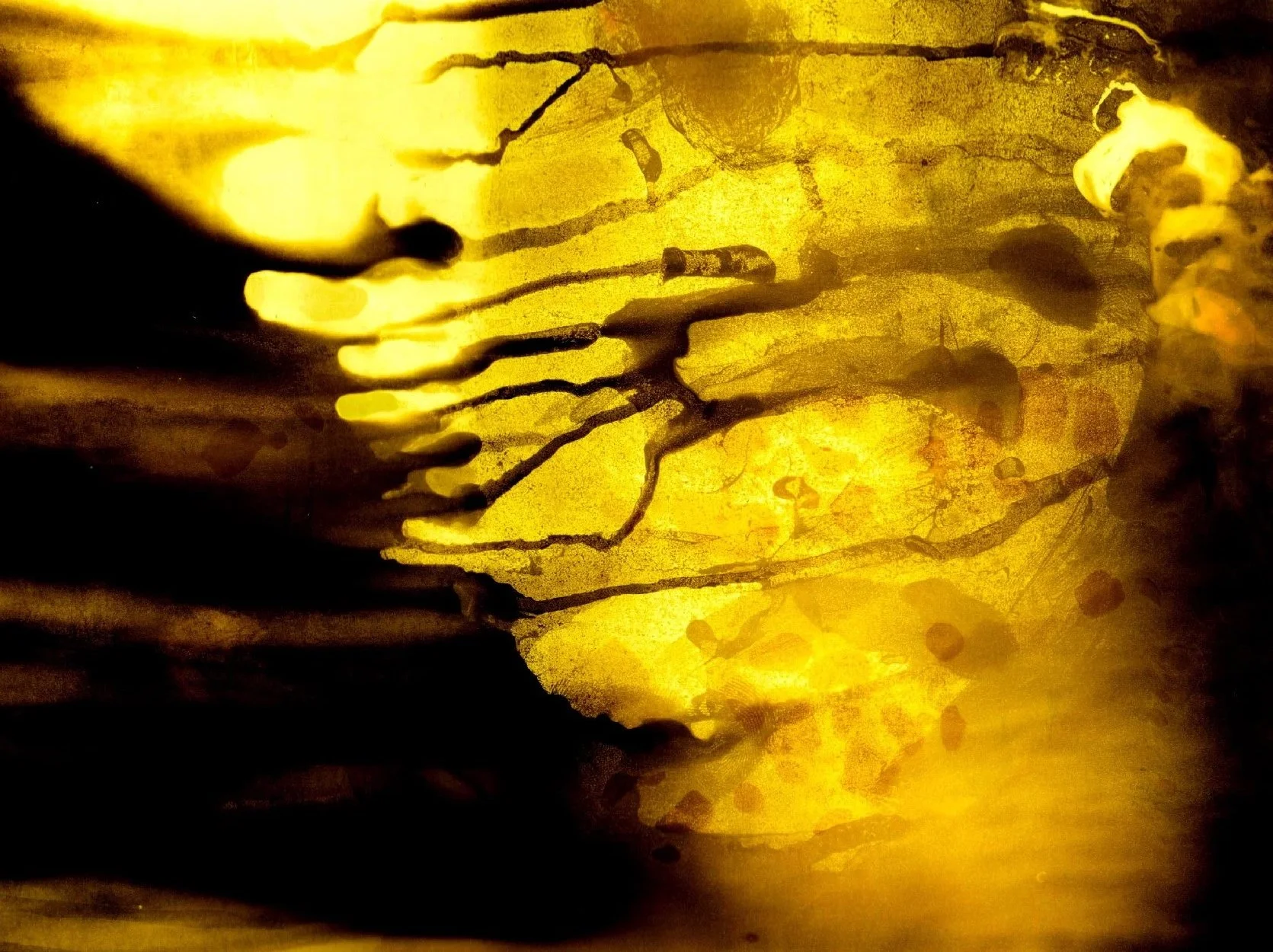 Une surface translucide de couleur jaune avec des veines sombres et des taches brunes, ressemblant à une pierre ou un morceau de bois éclairé de derrière.