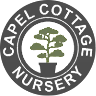 Capel Cottage Nursery logo