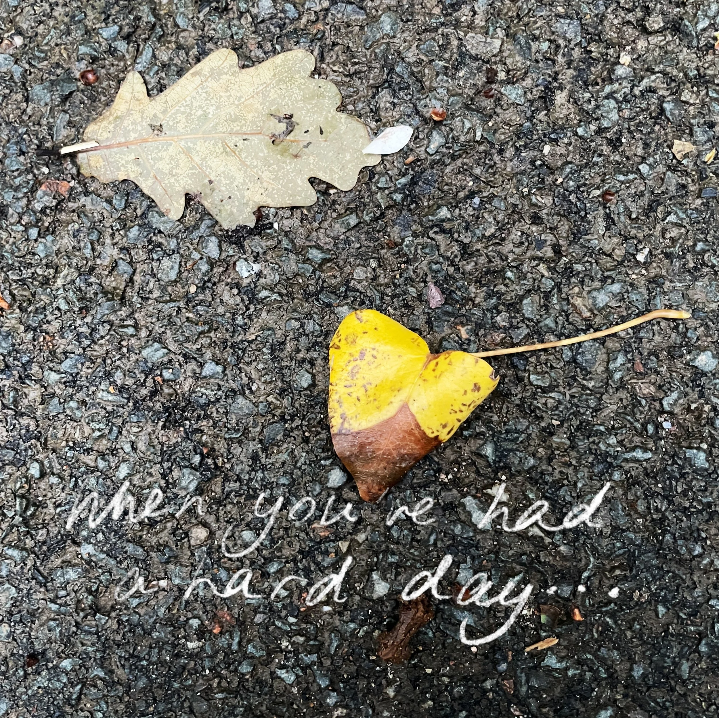 Went for a walk after a long day, and kept seeing these little heart shaped petals and leaves along my walk. Gave me the boost that I needed, and I hope it does the same for you too. 
Does anyone else feel the need to get outside at least once a day?