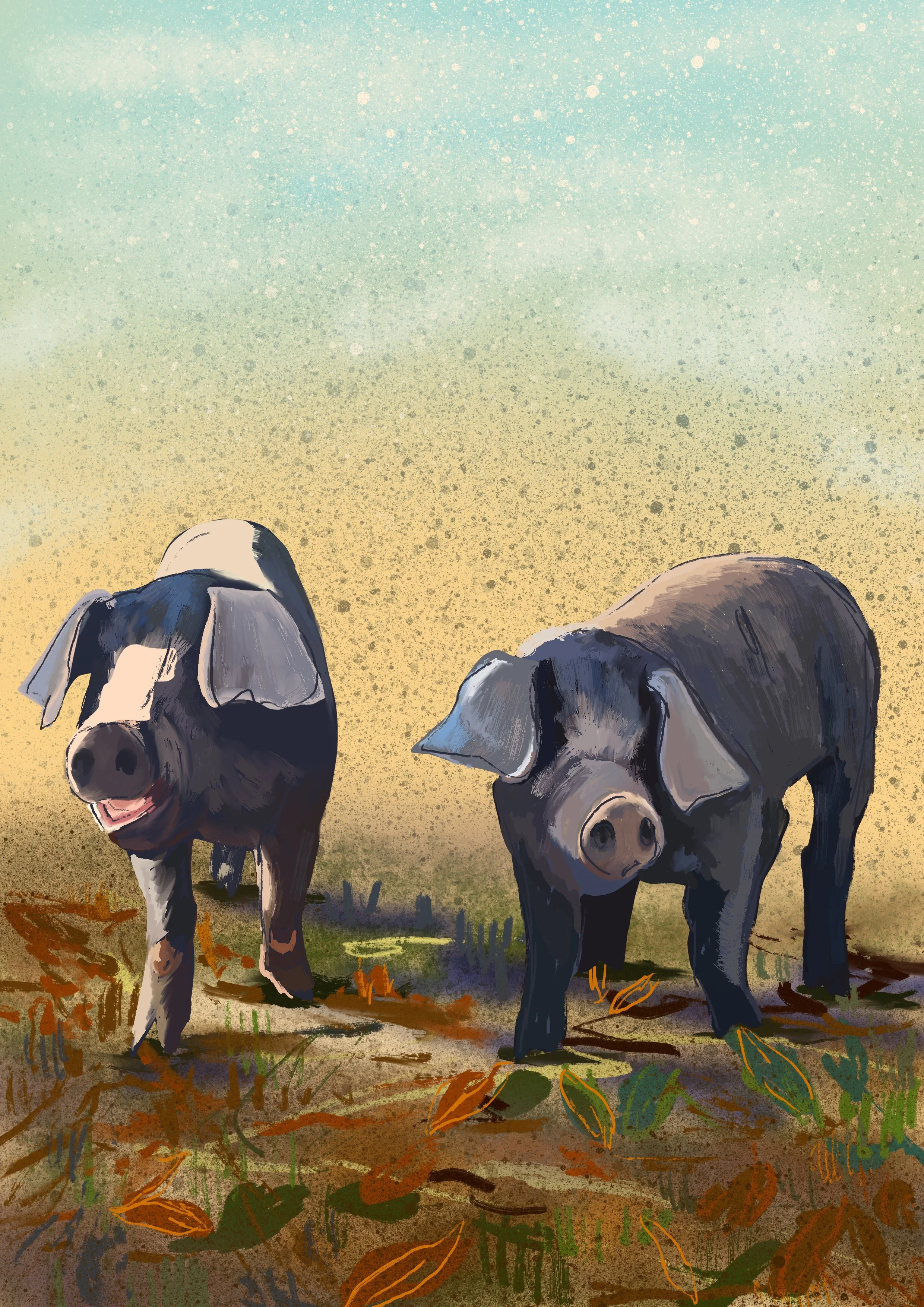Cornish Blacks