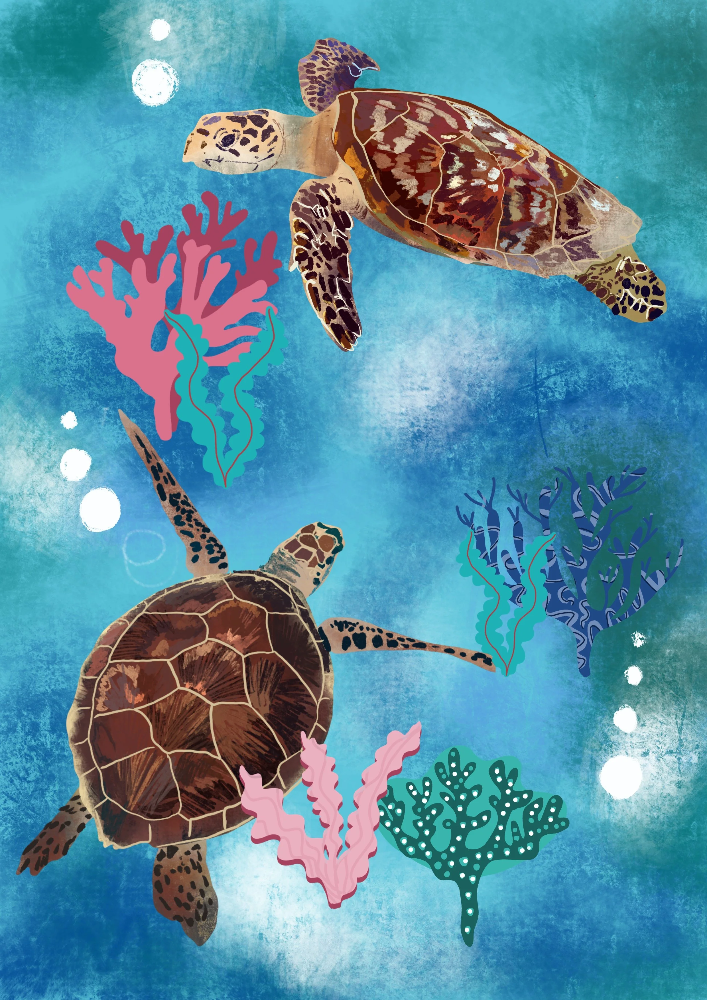 Turtles