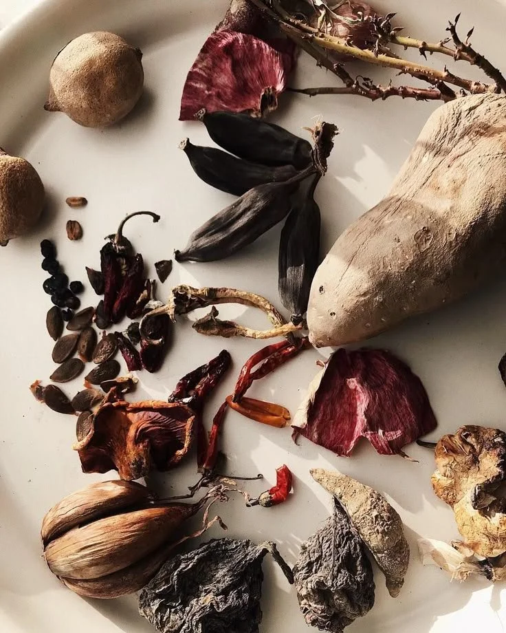 Assorted dried root vegetables, seeds, and spices arranged on a white surface, including sweet potatoes, onions, garlic, dried peppers, and seeds.