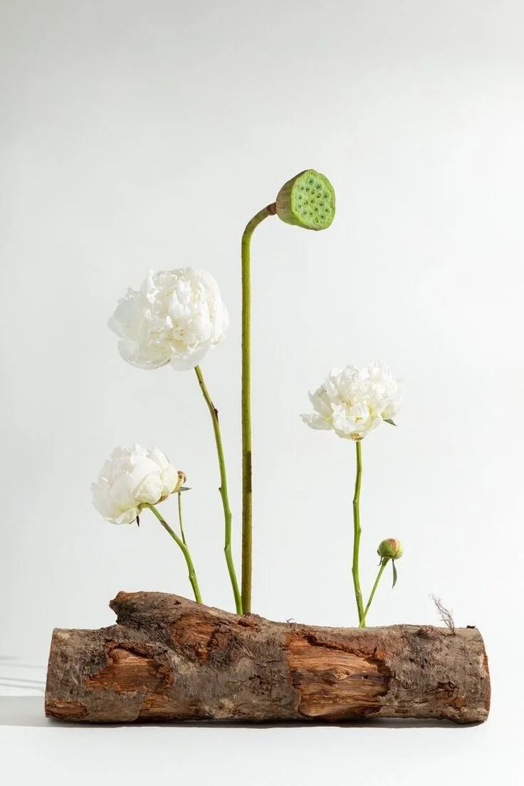 White flowers with a seed pod growing from a log, resembling a flower arrangement or sculpture.