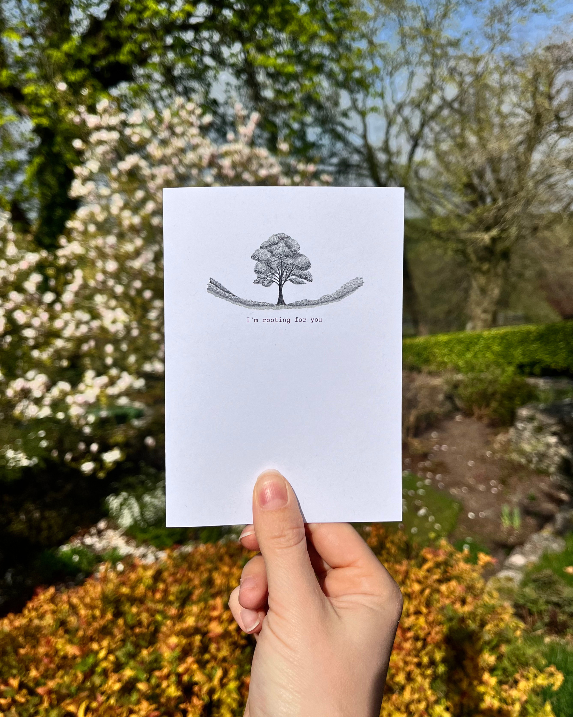 Sycamore Gap - I'm rooting for you (A6 card)