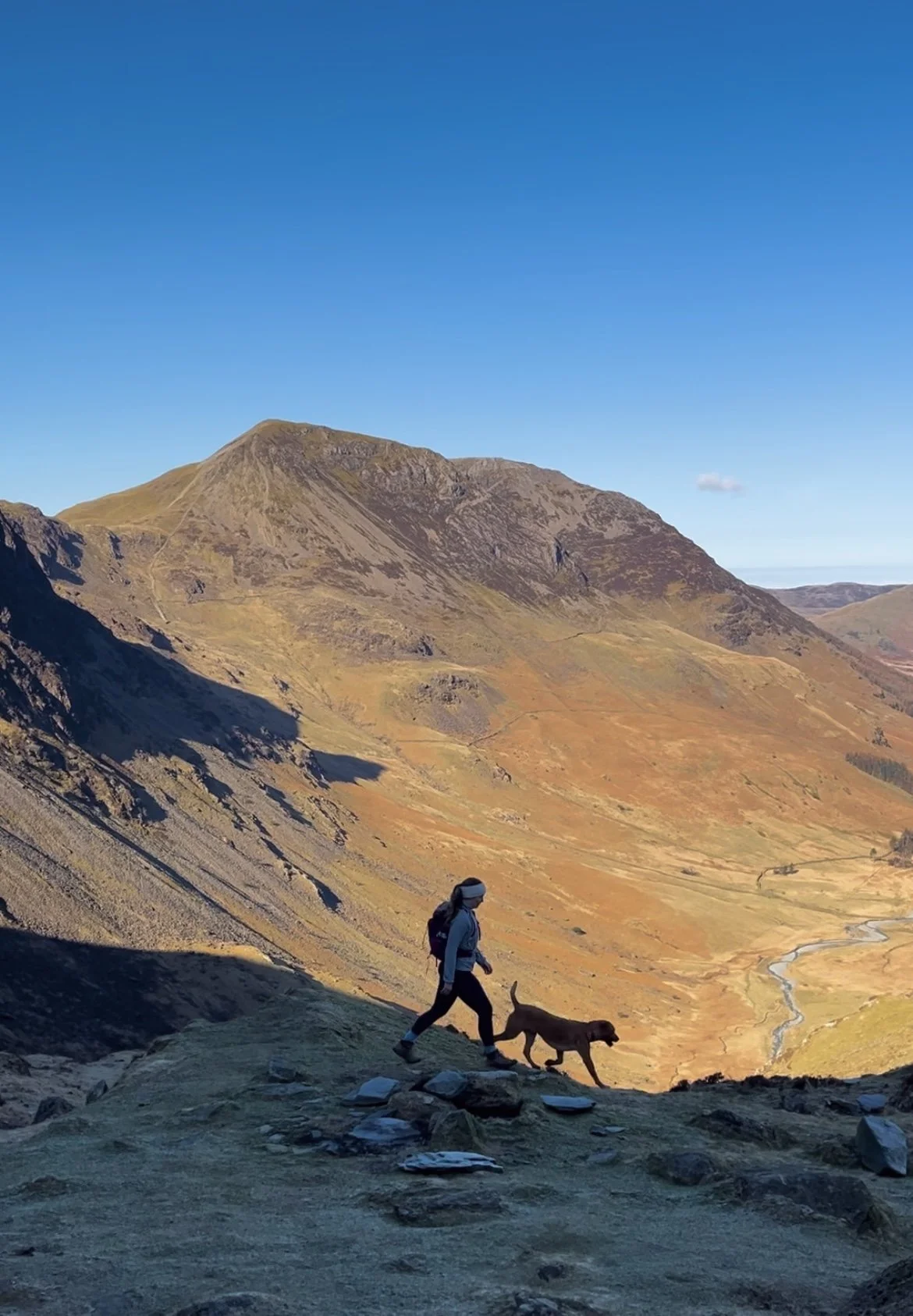 A person hiking with a dog in a mountainous landscape during daytime, with rolling hills and a clear blue sky in the background.