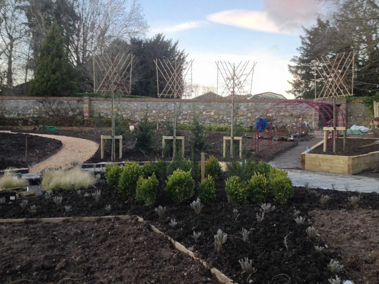 Freshly planted beds in the star of the Marian Garden, Kilcoy Castle.