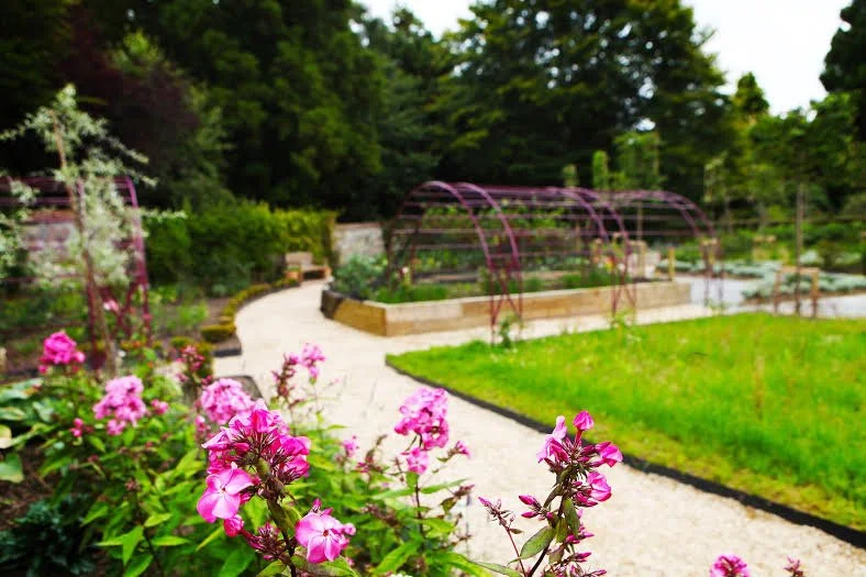 A view towards the arch leading to the star in the Marian Garden, Kilcoy Castle.