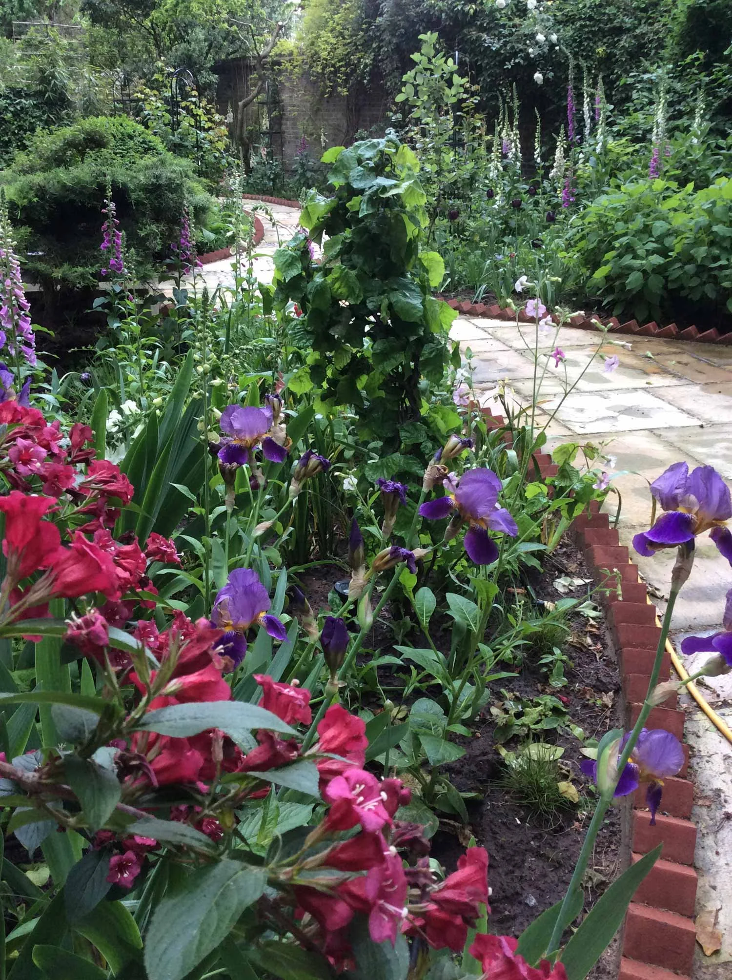 A close-up of a border at Chelwood House.