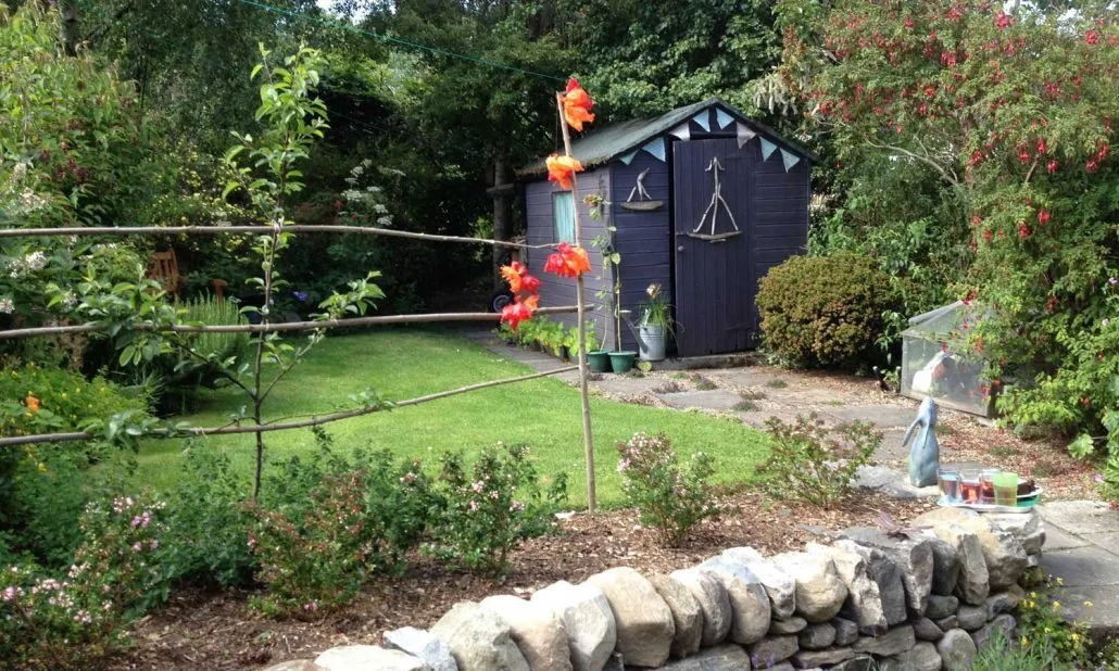 Looking towards a shed in a garden redesigned for bees and other invertabrates and located behind a Victorian mid-terrace house in the centre of Fortrose, Black Isle.