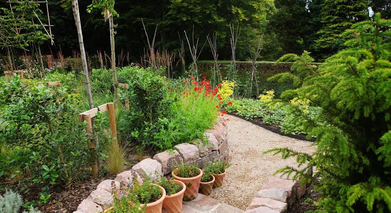 Steps leading down to the path around the Marian Garden, Kilcoy Castle. Terracotta pots filled with herbs. Mixed naturalistic planting with pleached hornbeam and formal hedging.