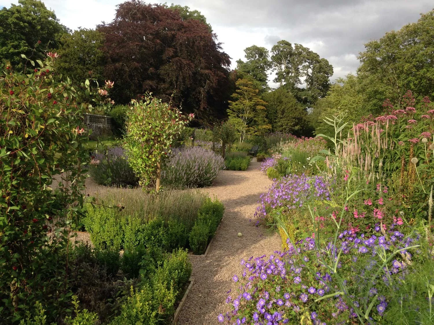 Winding path between beds full of naturalistic planting in purples and pinks, with handsome mature trees in the background at the garden at Rowchester.