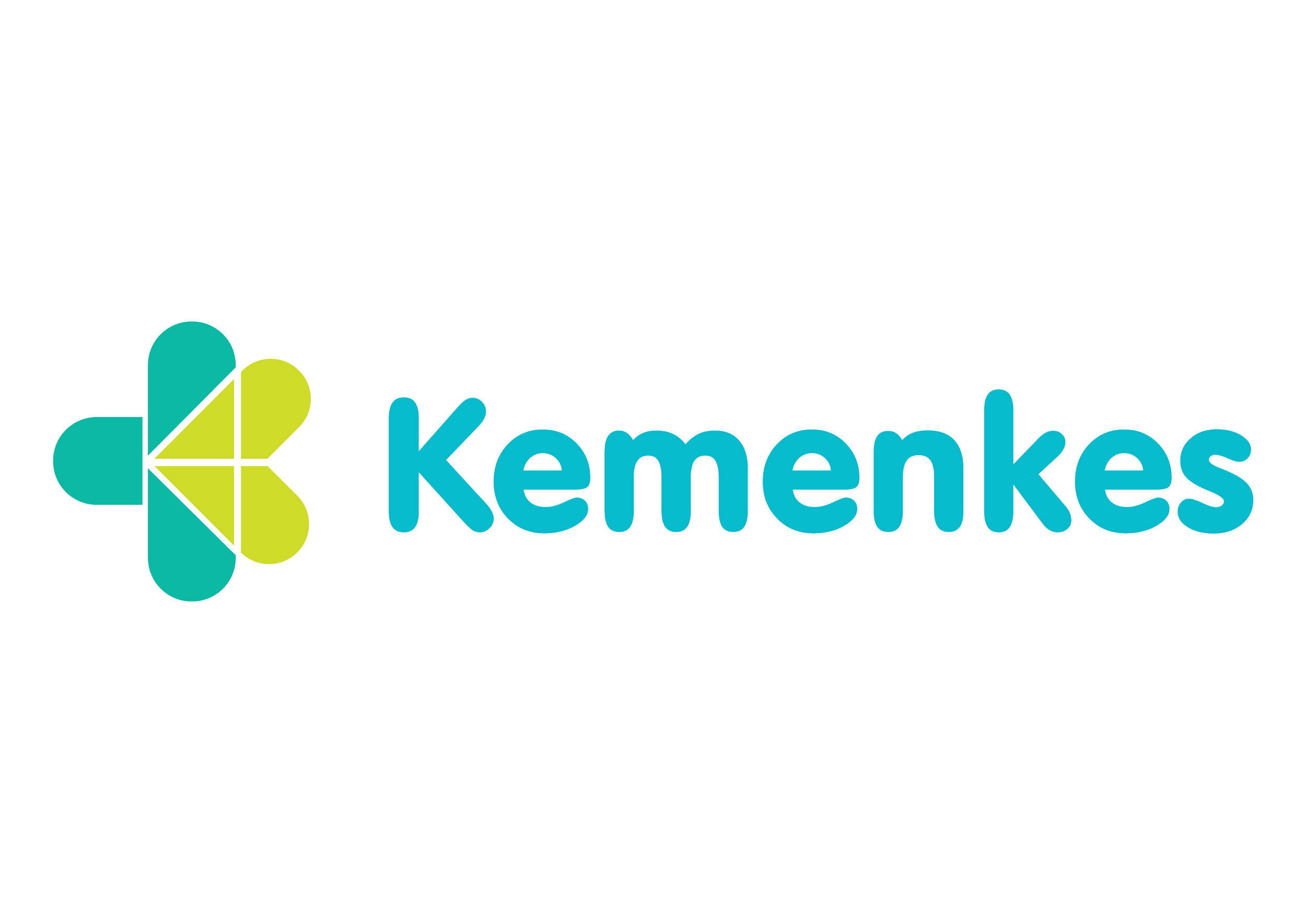 Indonesia Ministry of Health 
(Kementerian Kesehatan Republik Indonesia)