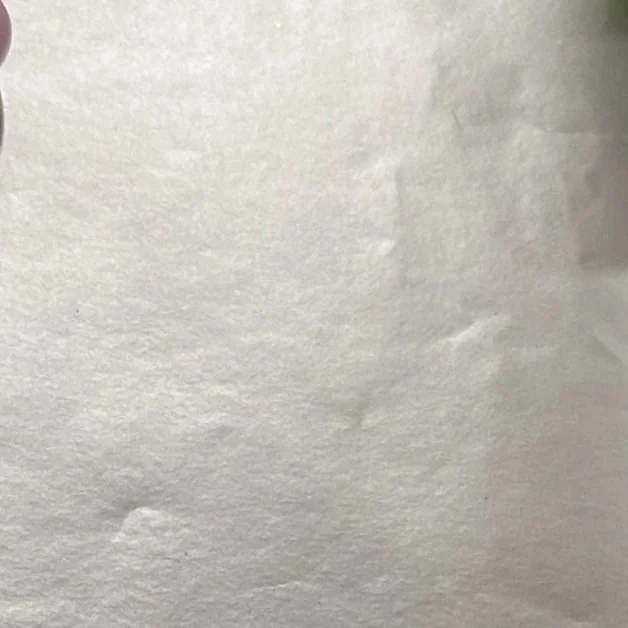 Close-up of a plain, textured, white paper surface