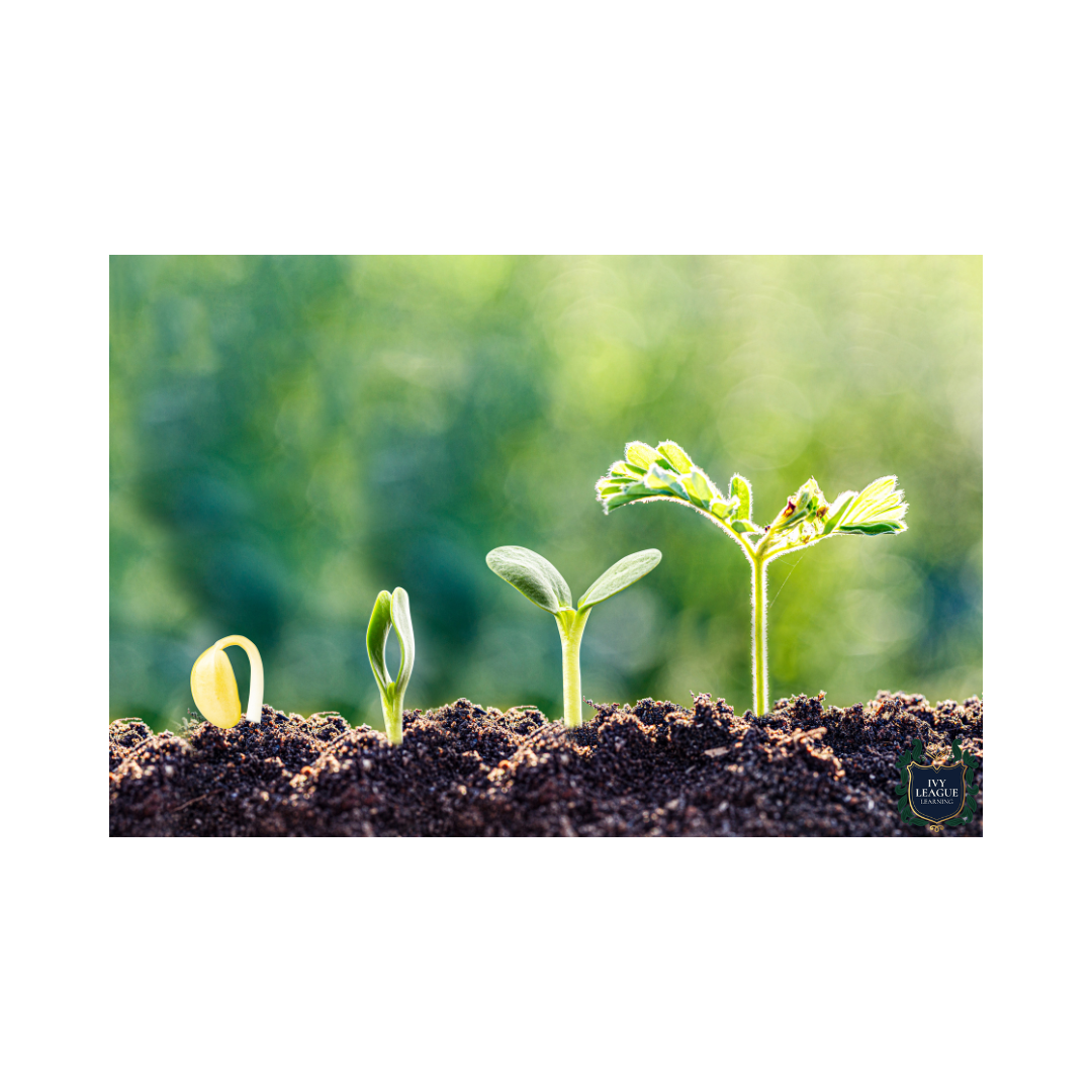 Lifespan Development