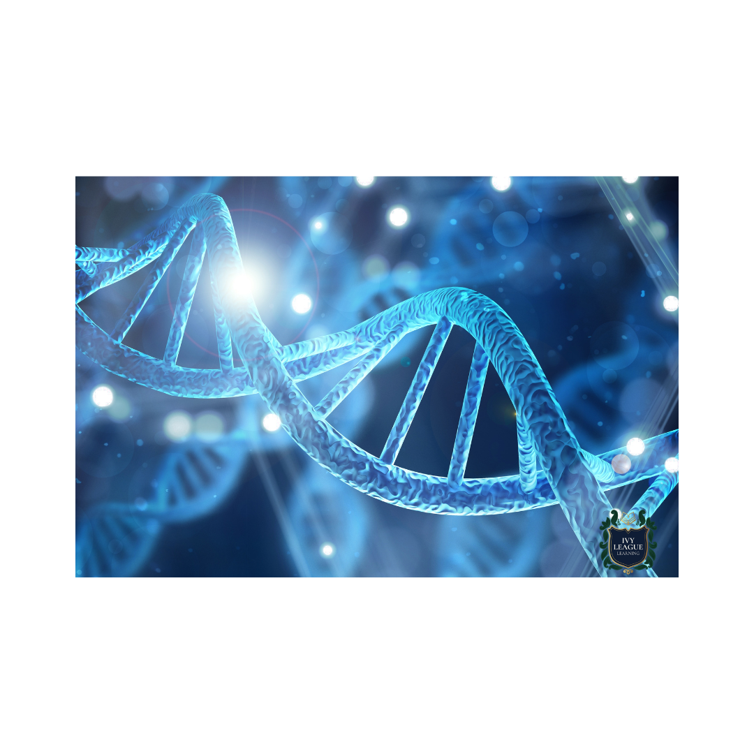 Introduction to Biology