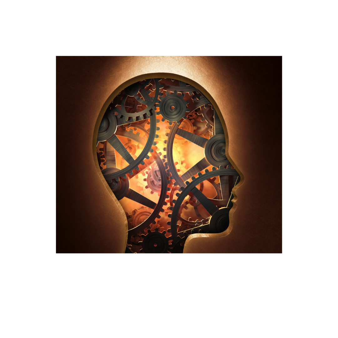 Introduction to Psychology