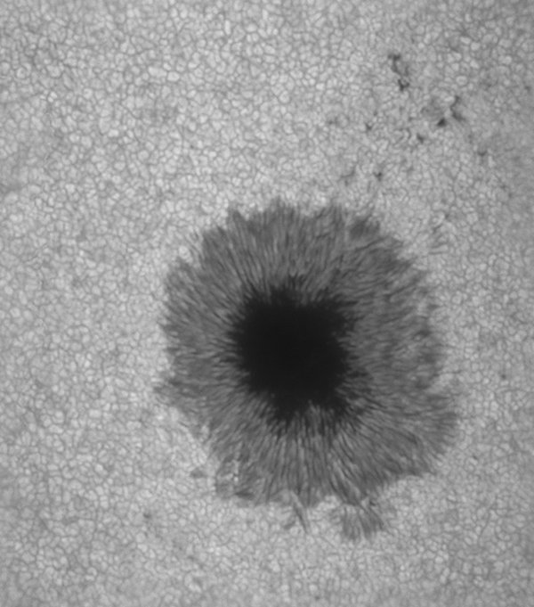 Close-up black-and-white photograph of a dark spot with radiating lines on a textured surface.