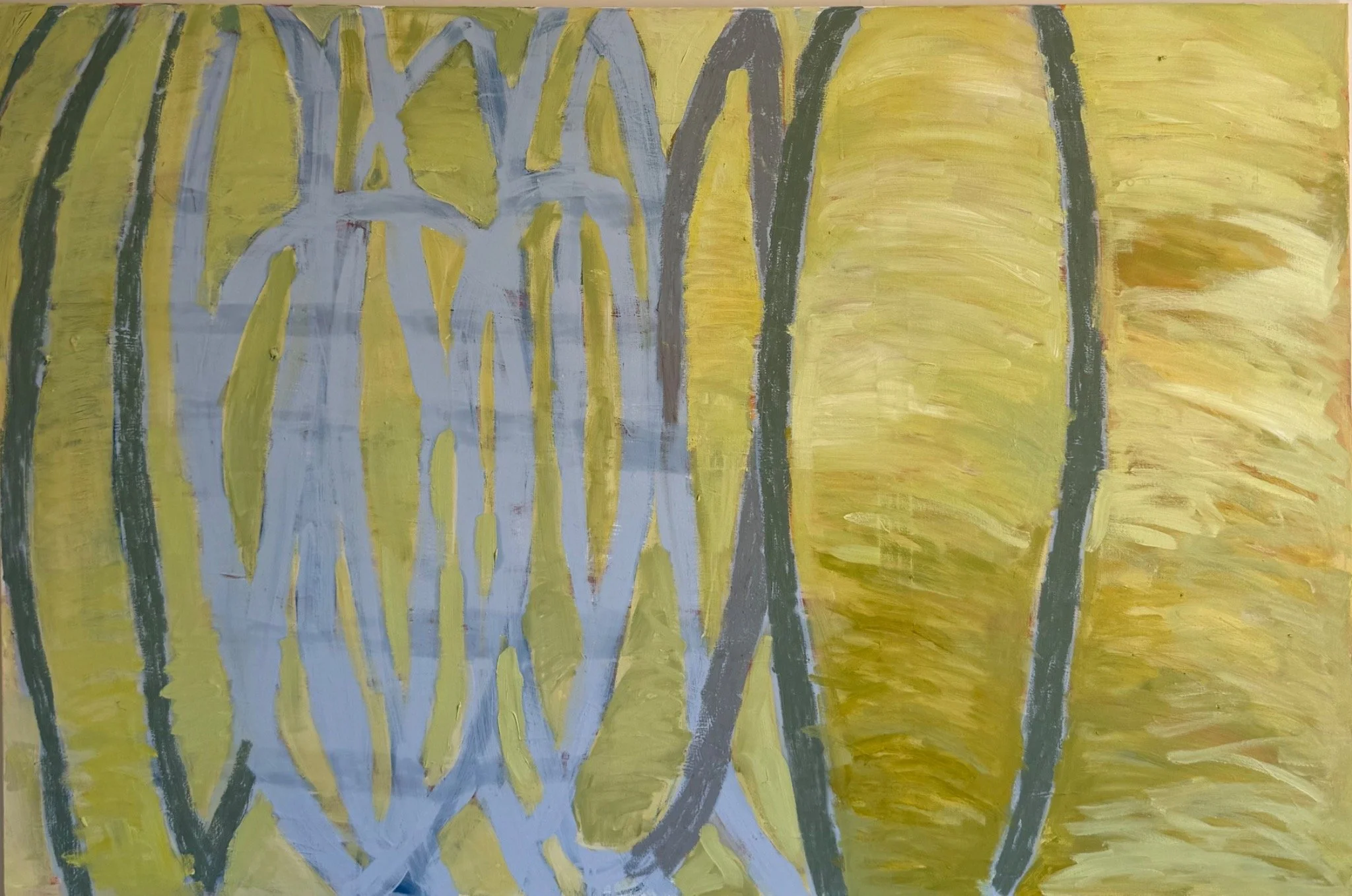 Between light and form