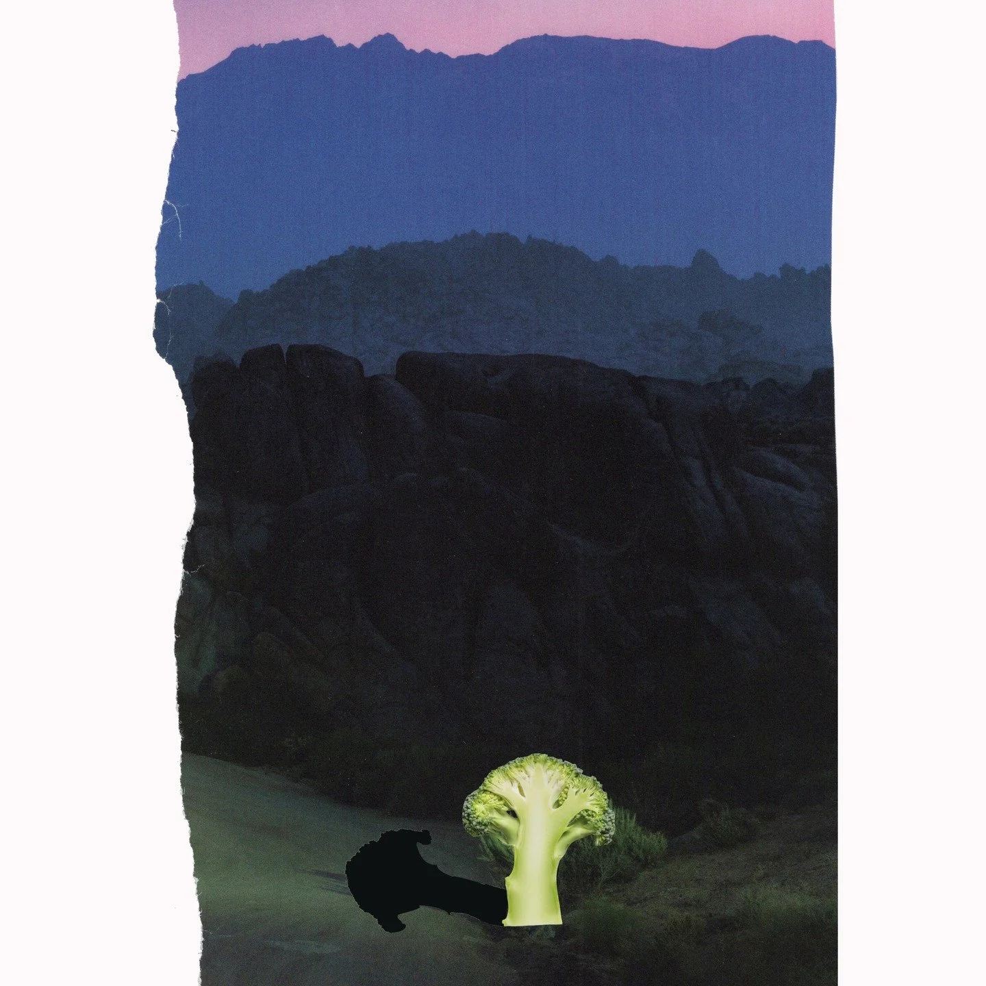 Februllage day 4: Broccoli #februllage2026