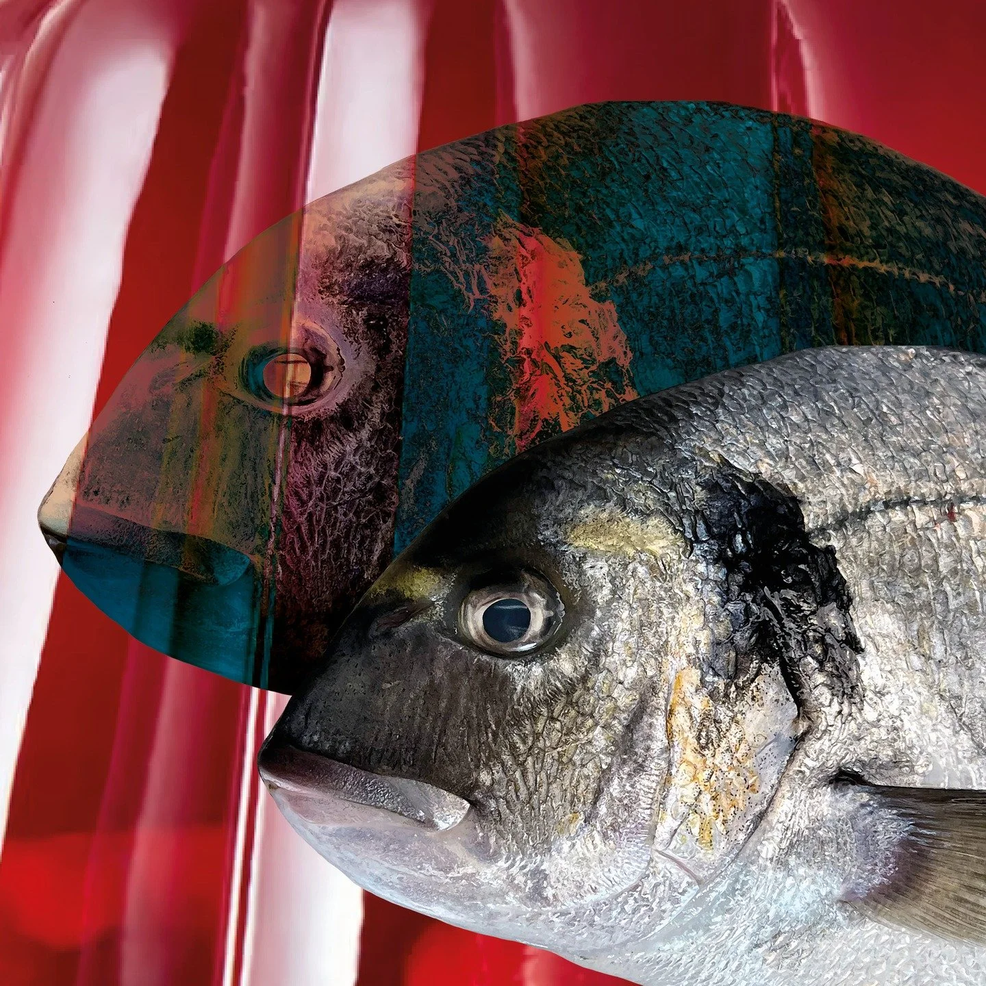 Februllage day 6: Jellyfish #februllage2026 #conceptual #literal