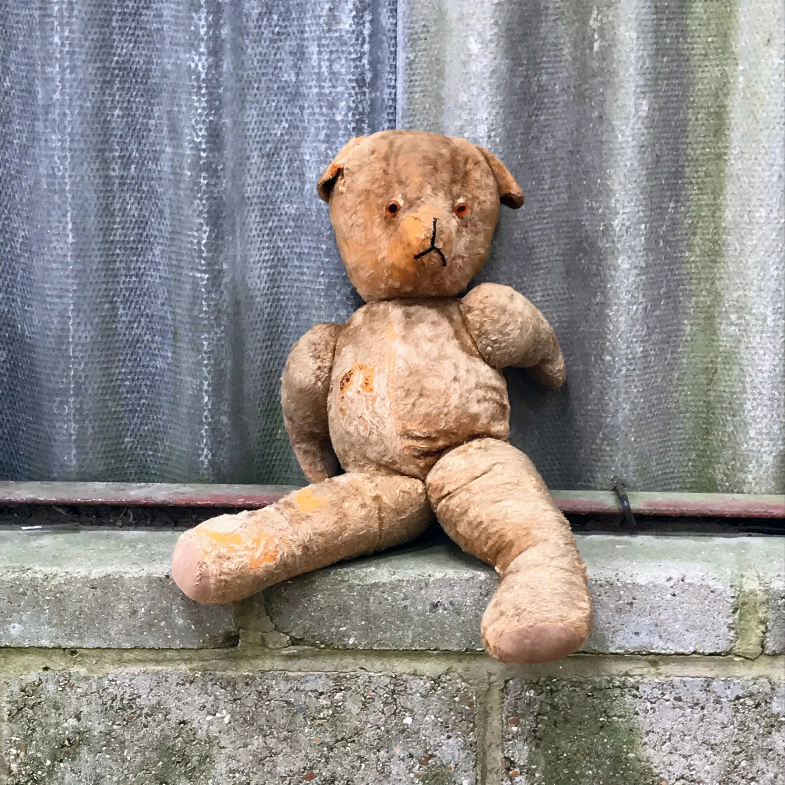abandoned teddy.jpg