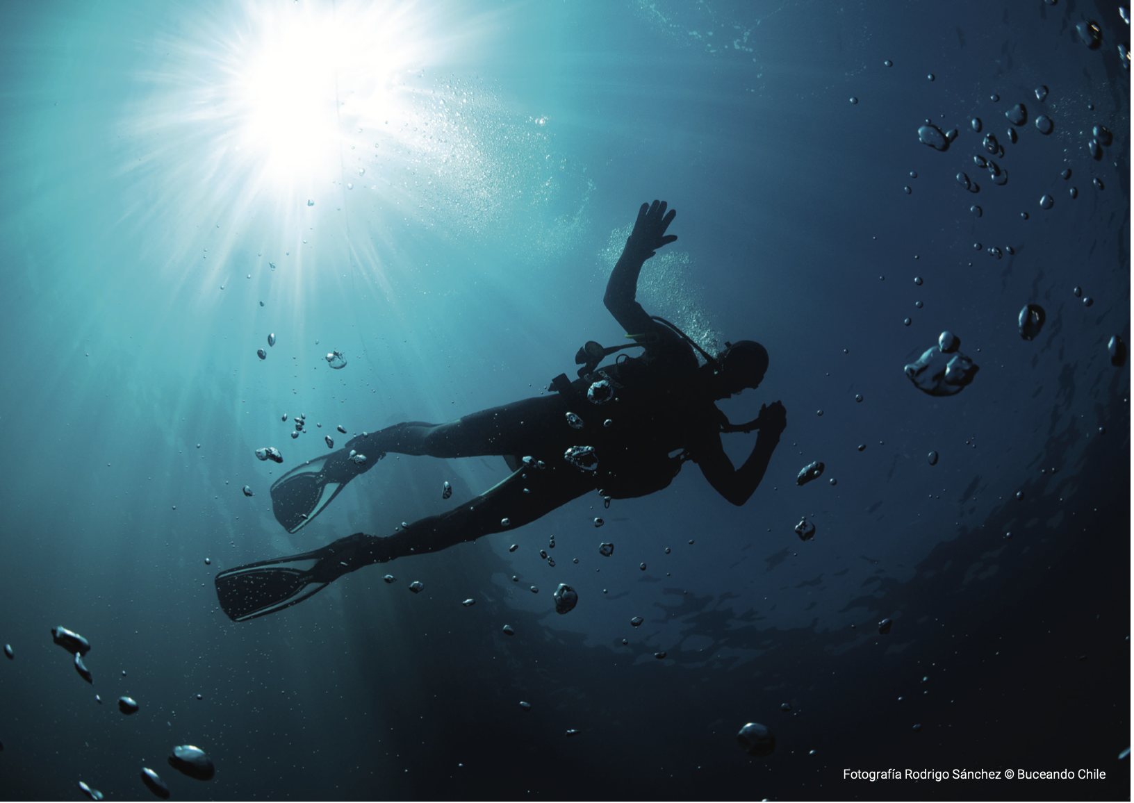 diver.png