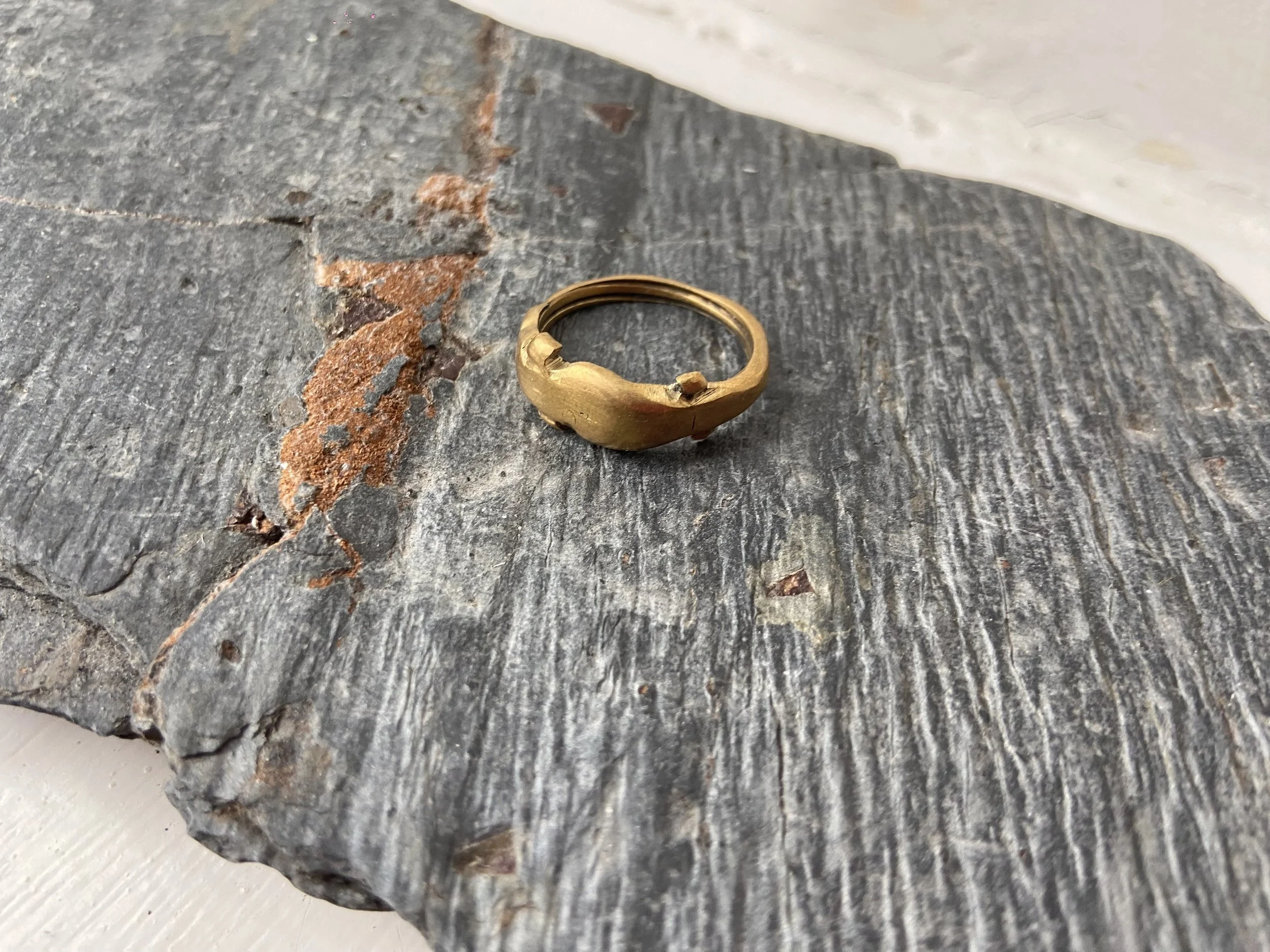 Ring (Crocodile 002)