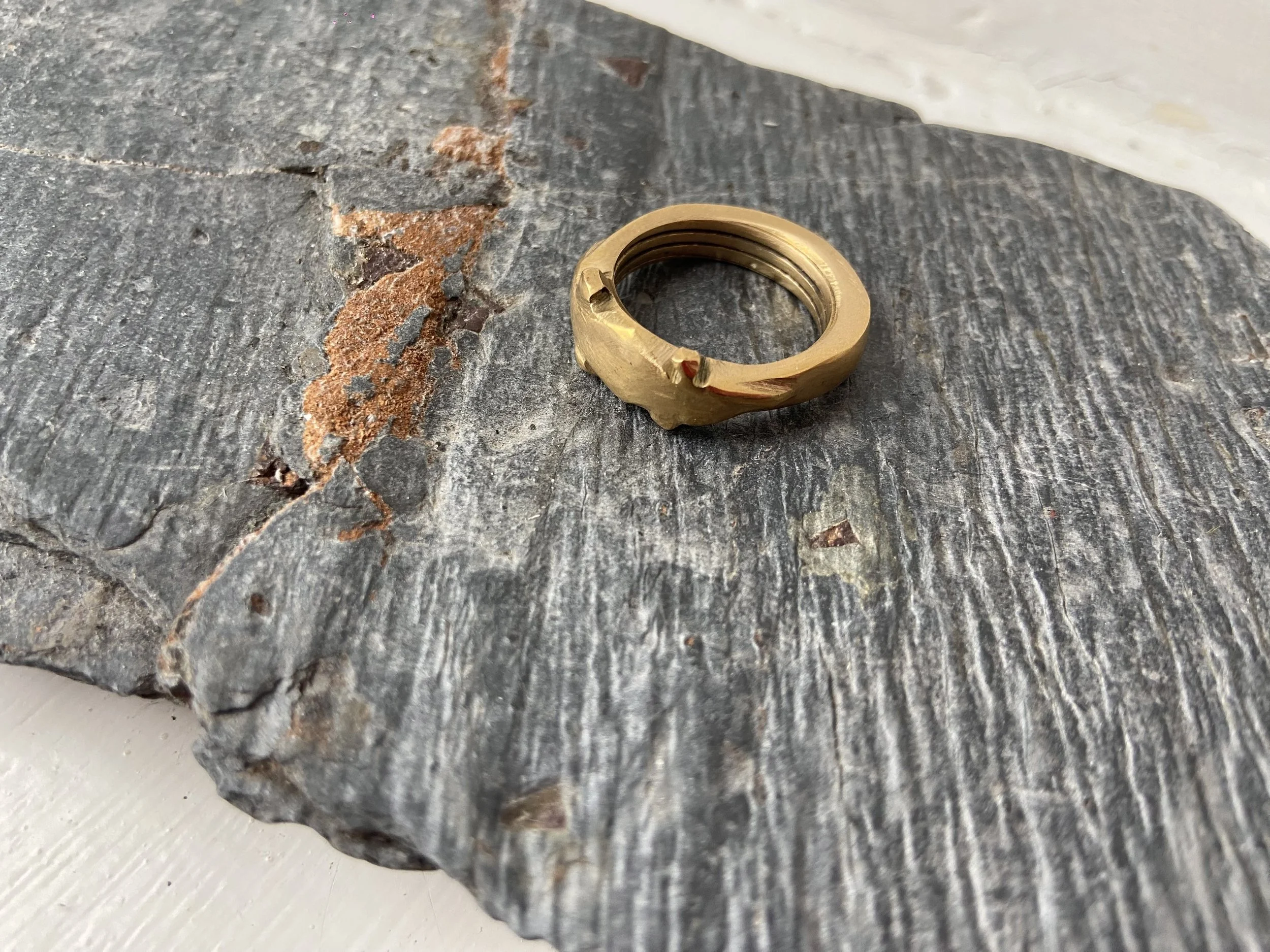Ring (Crocodile 003)