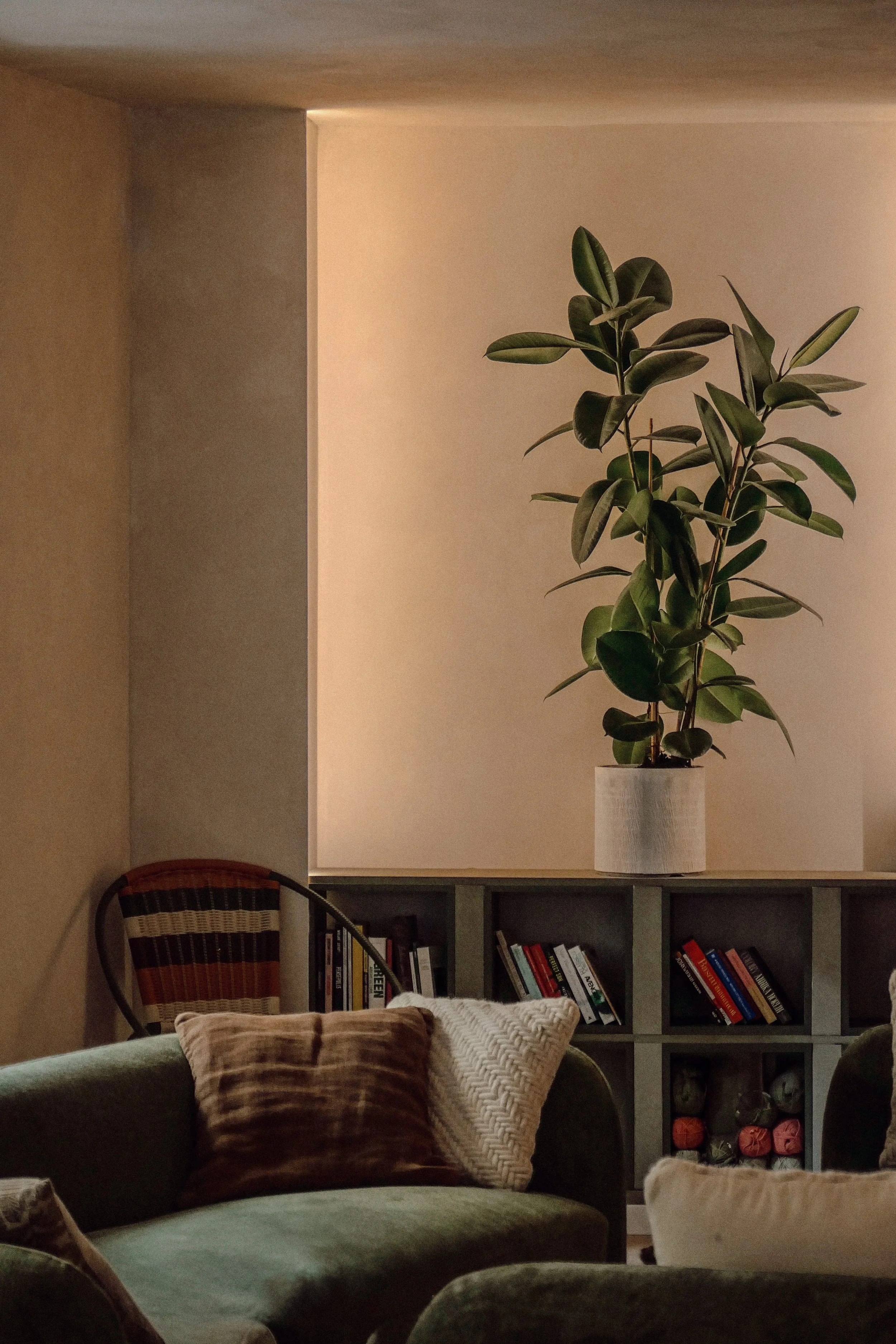 Living room corner with a green sofa, decorative pillows, a wooden chair with woven seat, a bookshelf, and a large potted plant on top of the bookshelf.