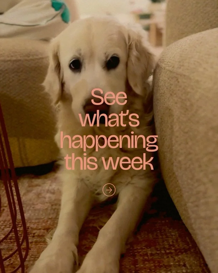 Put your phone down and do something fun, creative and meaningful ☕️