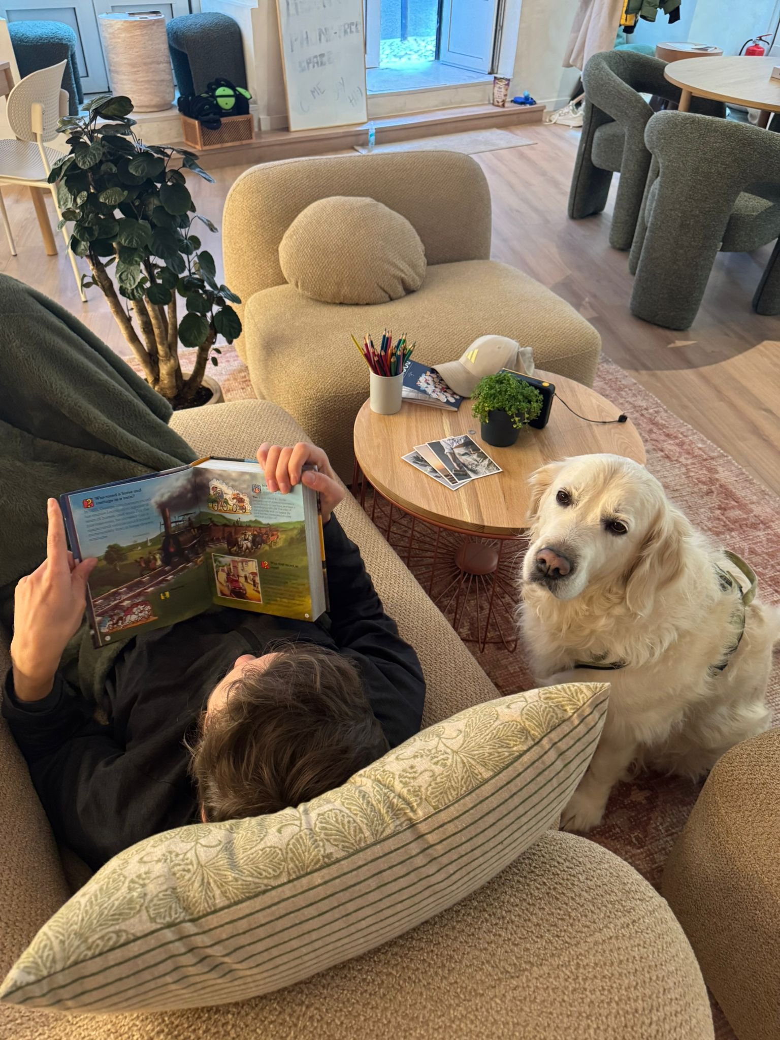 A person lying on a sofa reading a book with a large pillow supporting their head, a golden retriever dog sitting nearby and looking at the camera, in a cozy living room with chairs, a round coffee table, plants, and a sliding glass door in the background.