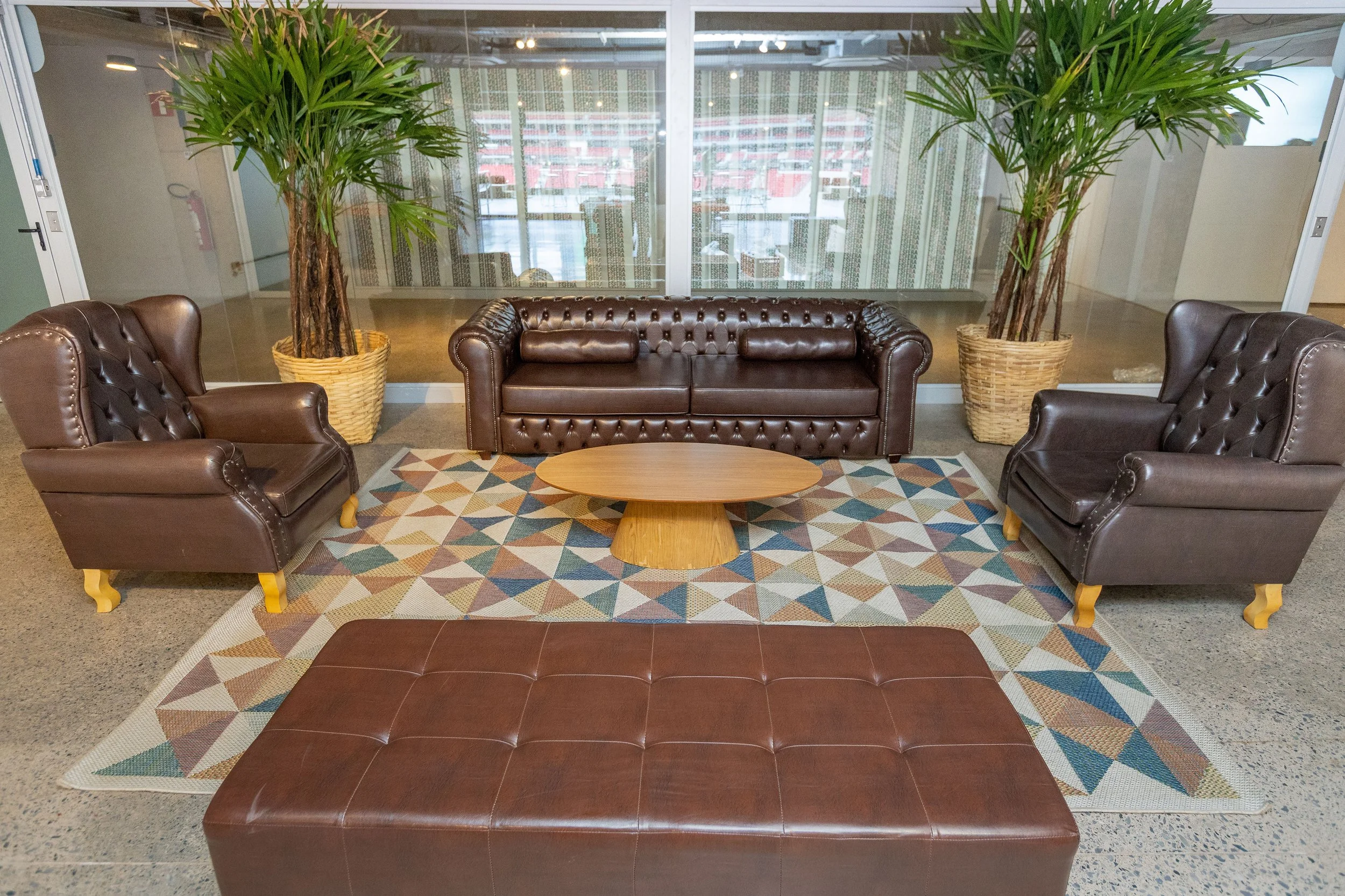 Planta Raphis Grande