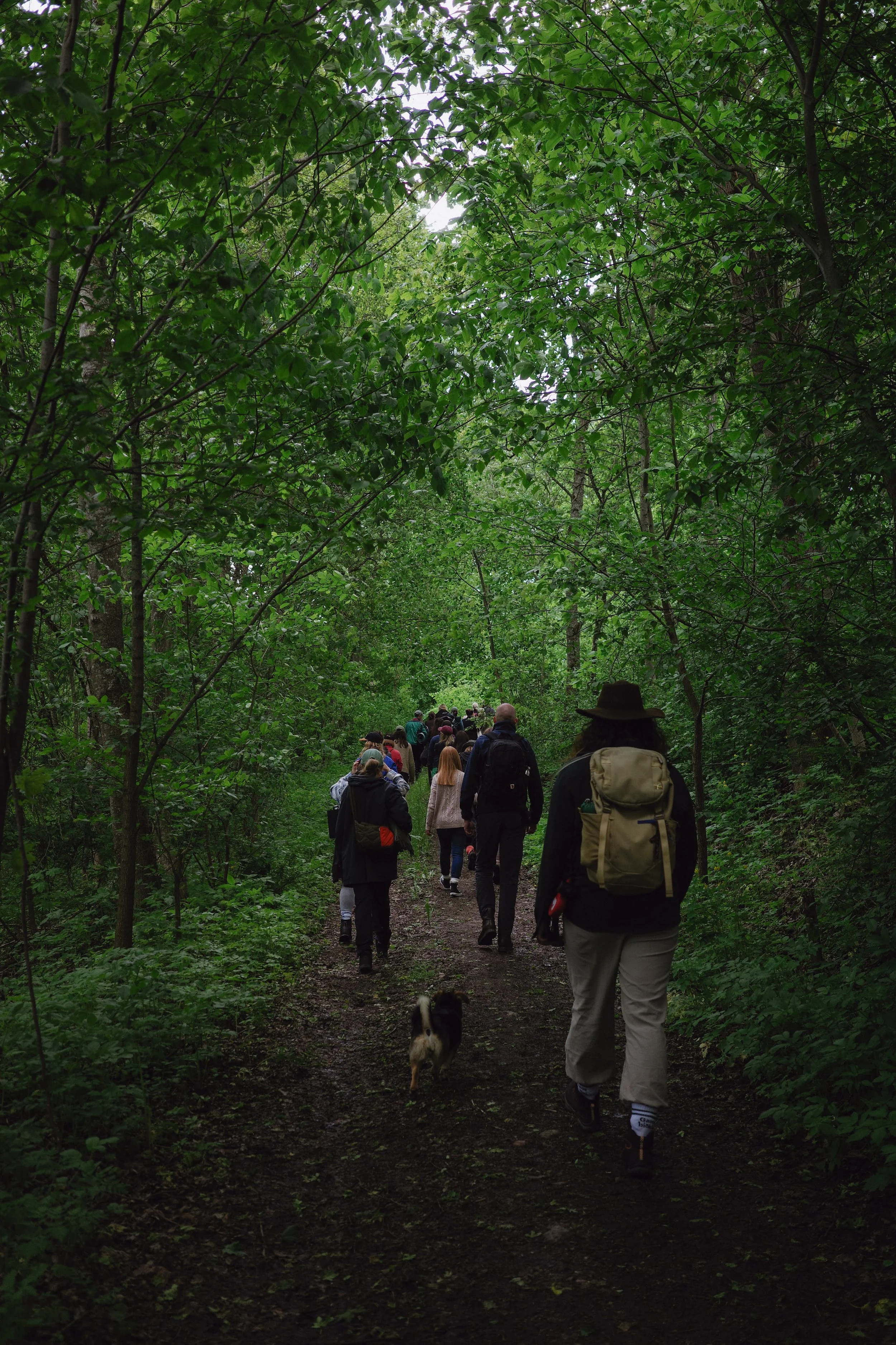 Miško terapija, miško maudynės, laikas gamtoje, ramus laiko praleidimas gamtoje, veikla visai šeimai, darbostogos, workation idėjos.