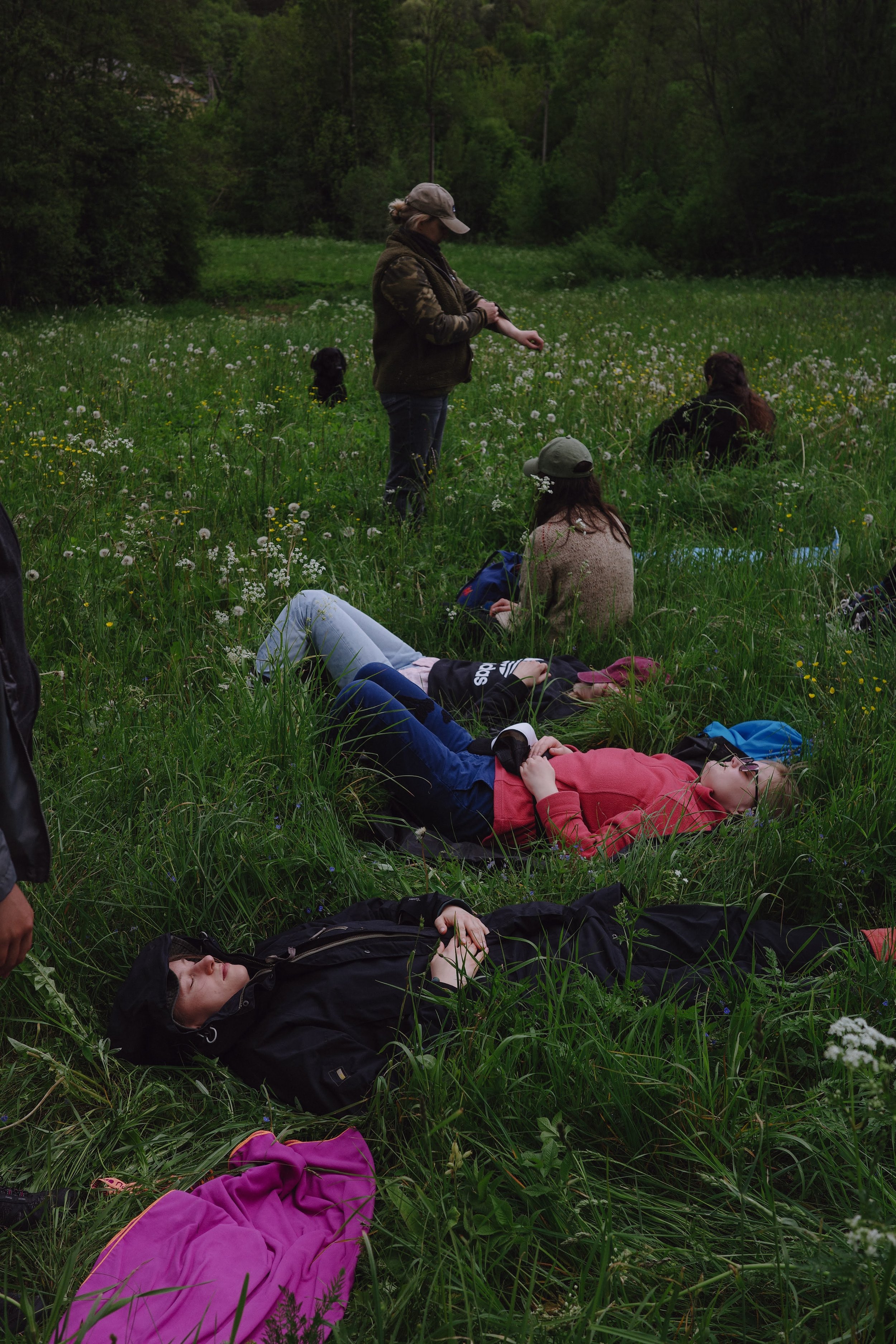 Miško terapija, miško maudynės, laikas gamtoje, ramus laiko praleidimas gamtoje, veikla visai šeimai, darbostogos, workation idėjos.