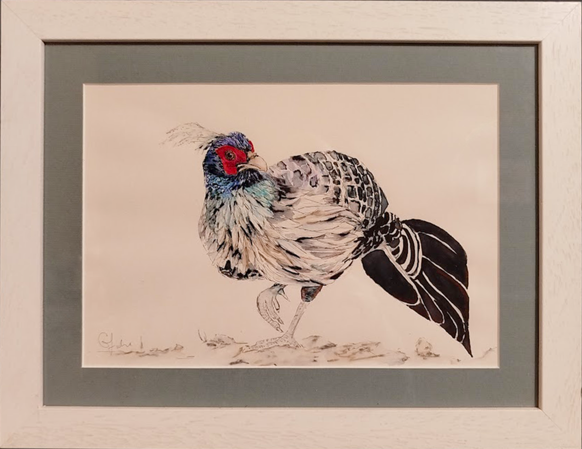 Original Ink Painting - 'Male Khalij Pheasant'