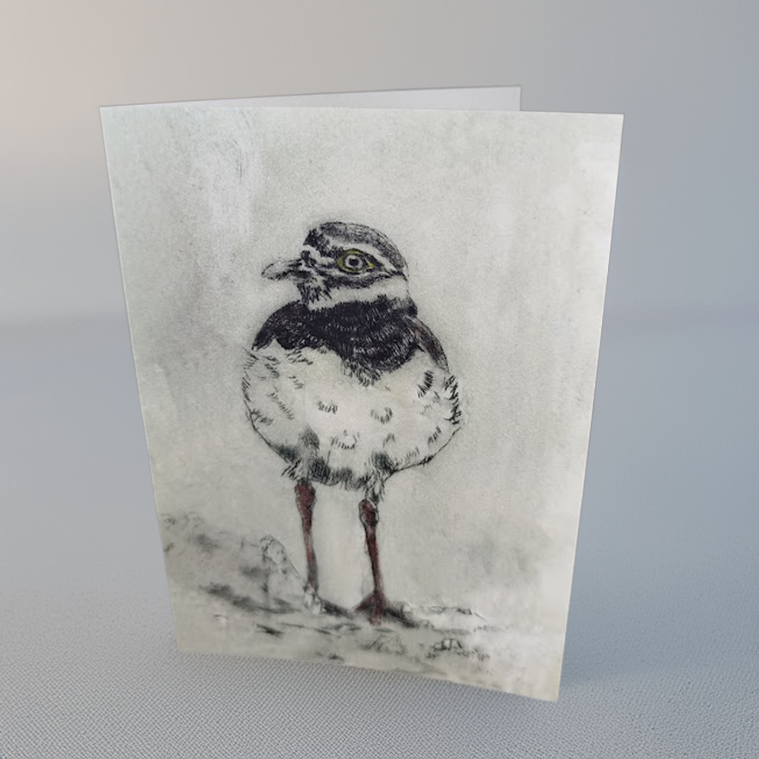 'Plover' A5 Art Card on Gesso Paper