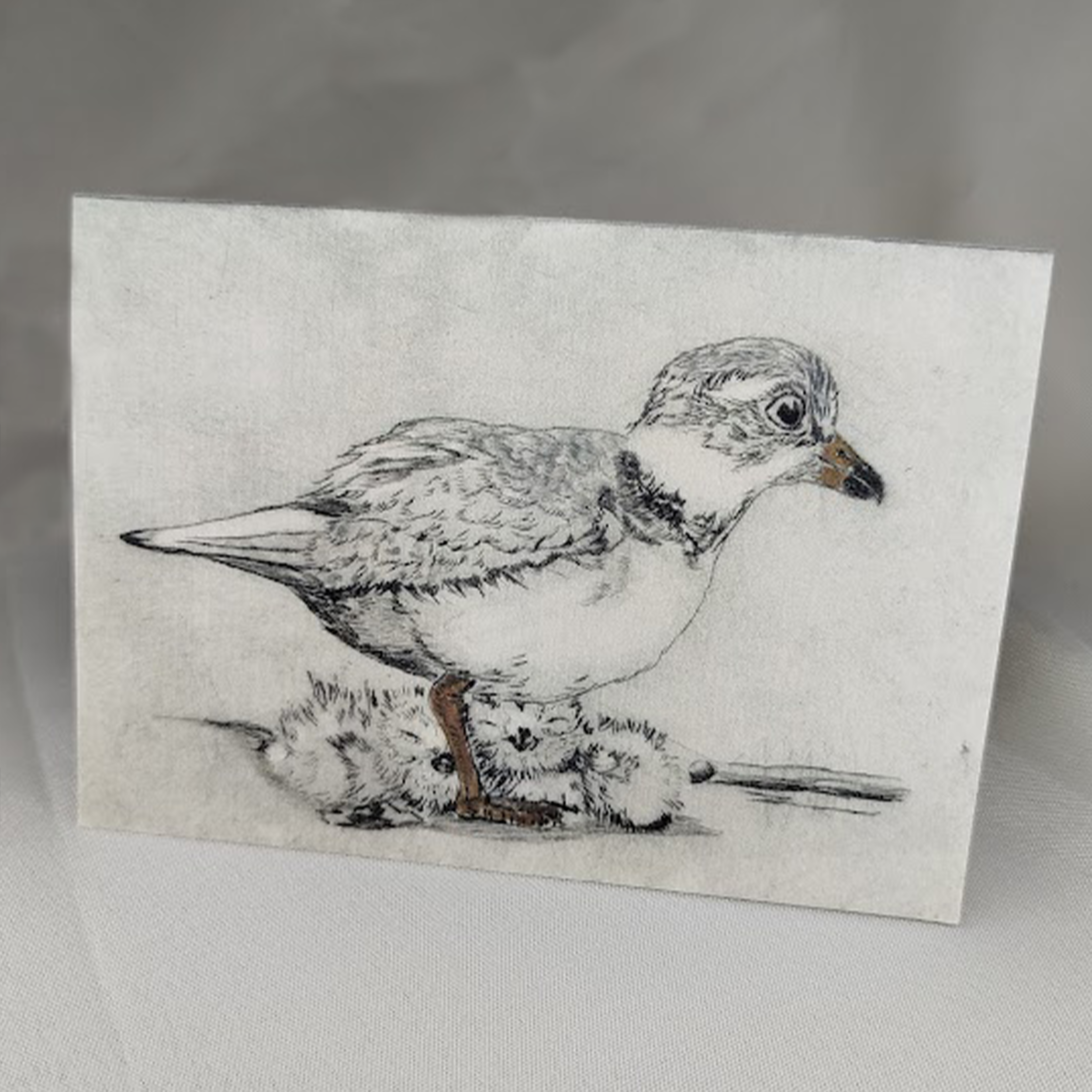 'Plover with Chicks' A5 Card