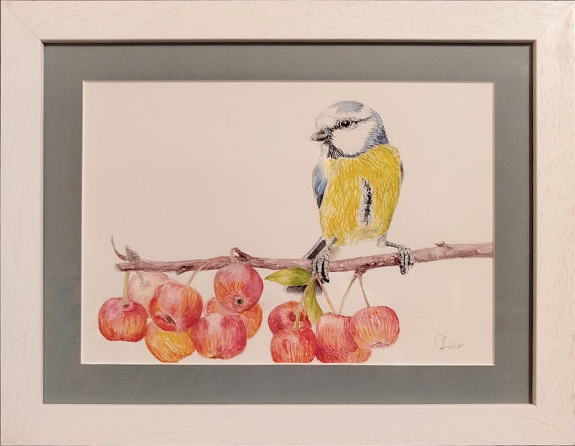 Original Watercolour Painting - 'Blue Tit' with Crab Apples.