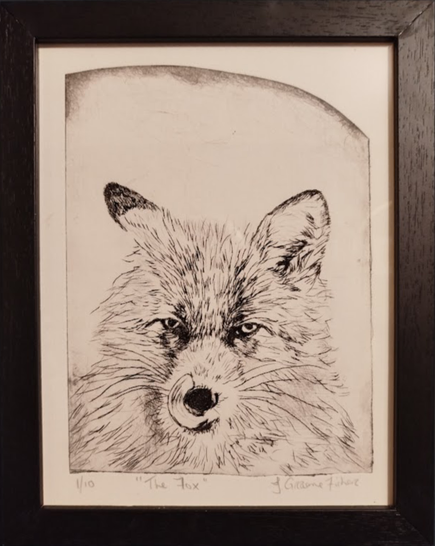 'The Fox' - Limited Edition Intaglio Print - Framed